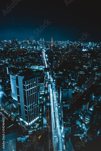 Canvas Print Tokyo city skyline view and office business building skyscraper downtown center with Tokyo Tower at evening in Japan