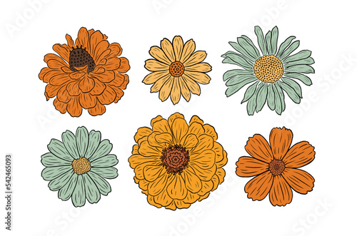 Retro Groovy Flower Set. Botanical vintage collection. Design for social media, packaging, Print on T-Shirts, Cards. Floral cliparts inspired by 70s Groovy Hippy. Doodle vector illustration isolated.