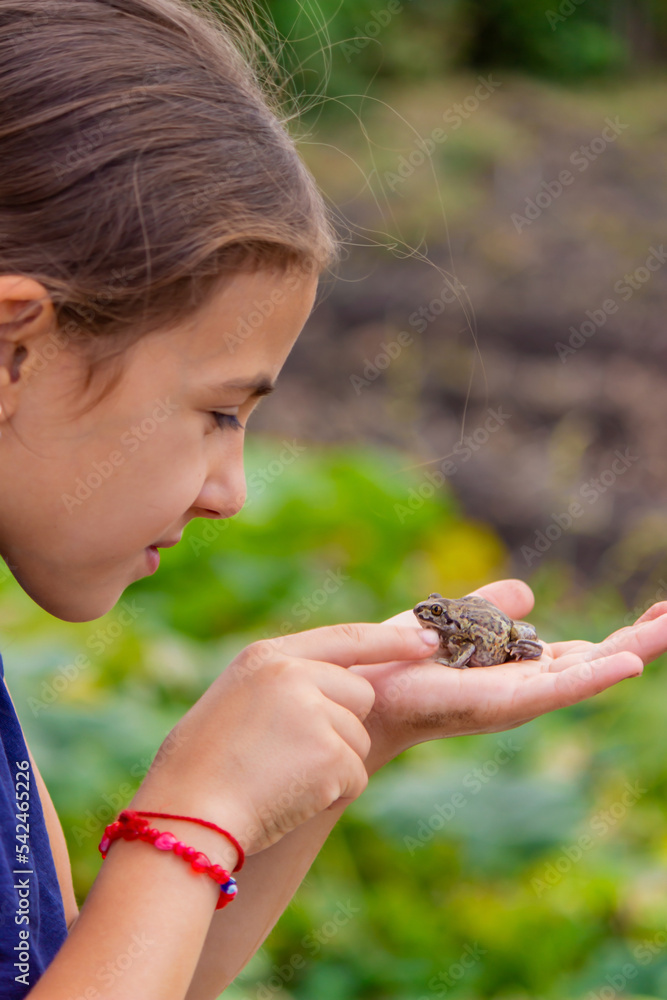 girl hold a toad in the palm of her hand. Selective focus