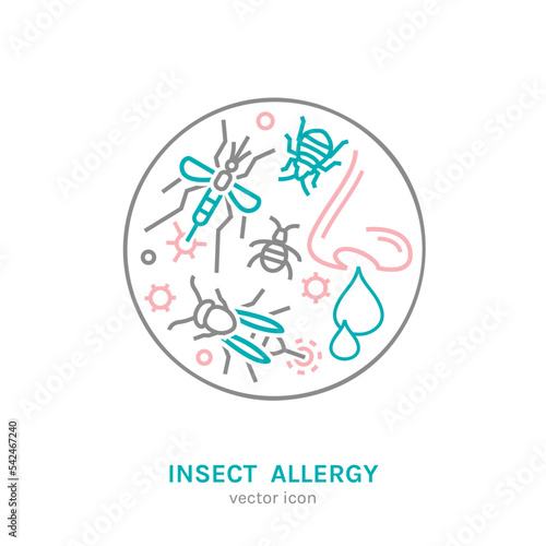 Types of allergy. Allergies caused by insect bites.