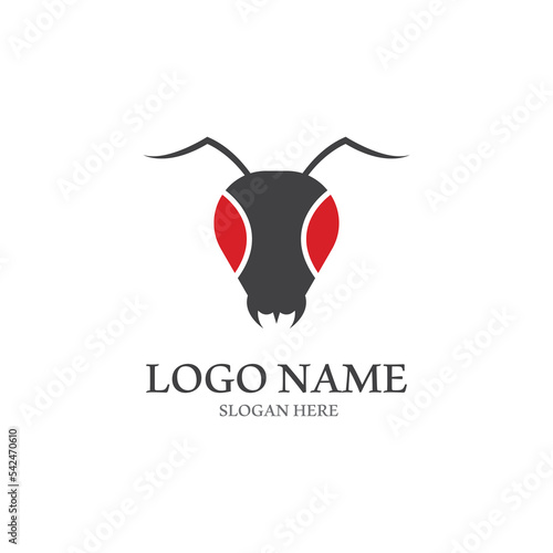 Ant vector illustration design
