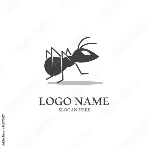 Ant vector illustration design