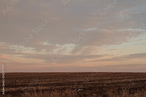 View of a field against the background of the cloudy sky at sunset.