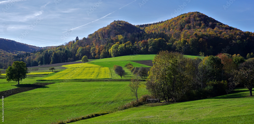 Herbstlandschaft; Blick auf den Hirschkopf, Schwäbische Alb