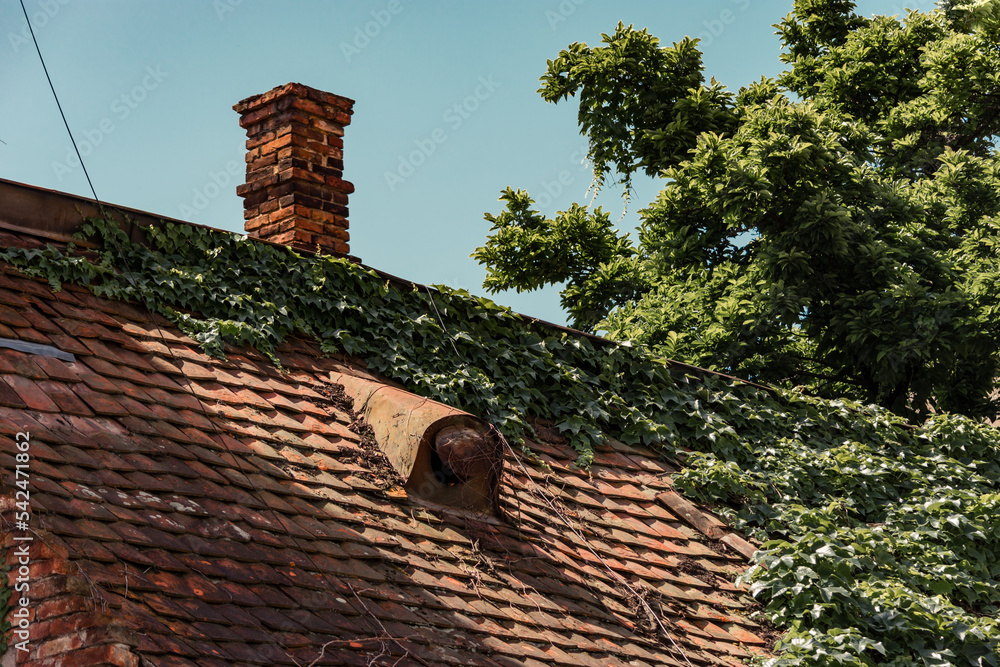 Old tiled roof with brick chimney and a rusty ventilation hole. Ivy ...