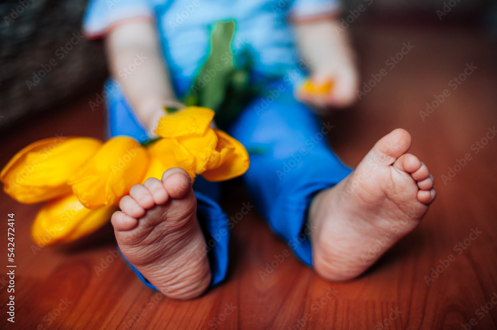 Baby Feet In Bed Stock Photo Adobe Stock baby-feet-in-bed-stock-photo-adobe-stock