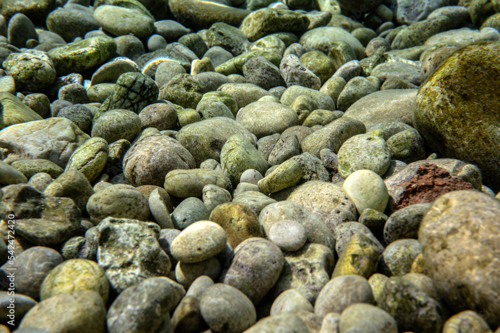 Small round rocks or pebbles covered with green algae, closeup underwater photo Small round rocks or pebbles covered with green algae, closeup underwater photo