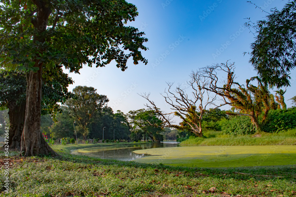 Fototapeta premium Carved lake in the green grassy valley with the trees beneath the dramatic blue sky