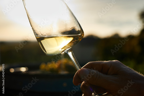 Close-up of a sommelier with a glass of white wine at sunset photo