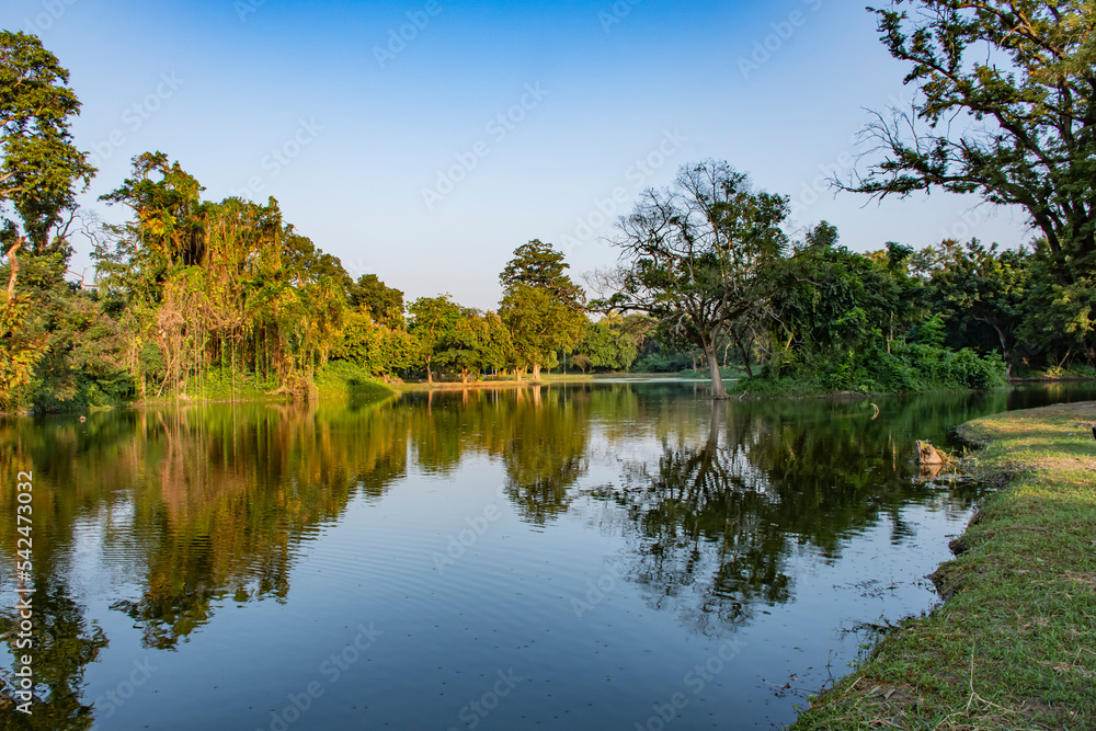 Reflection of trees in the lake and a small bank