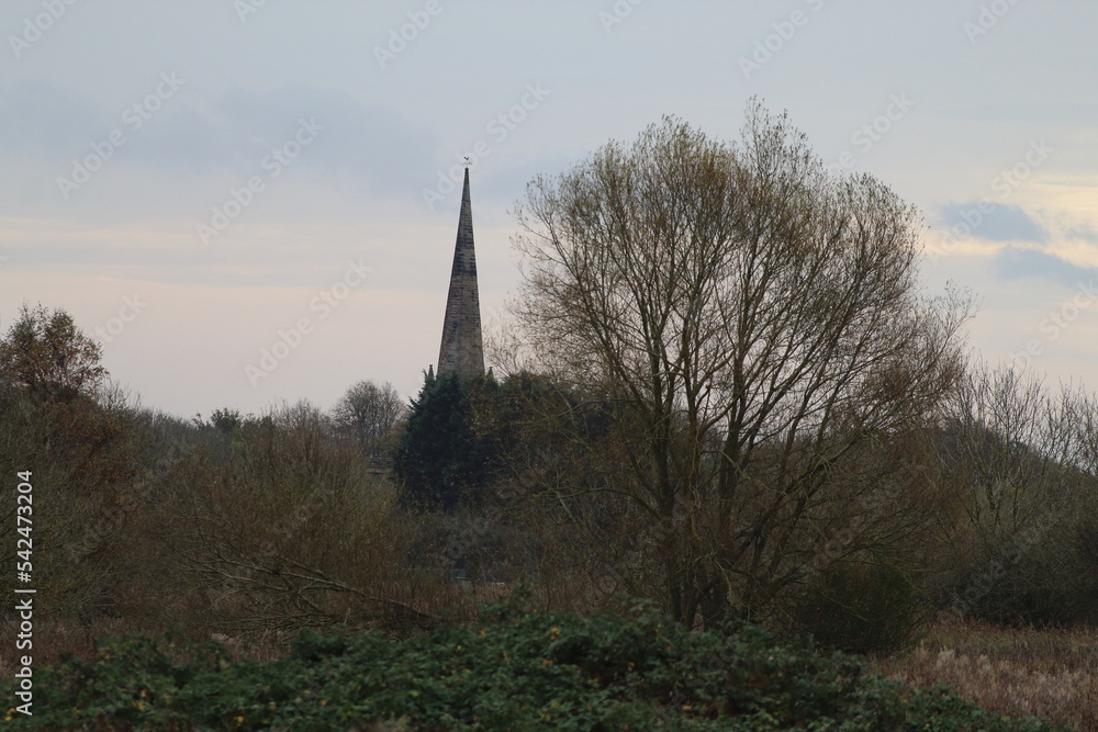 A beautiful landscape image at a nature reserve during Autumn and Fall season. A bare tree can be seen next to the tower of an old church.