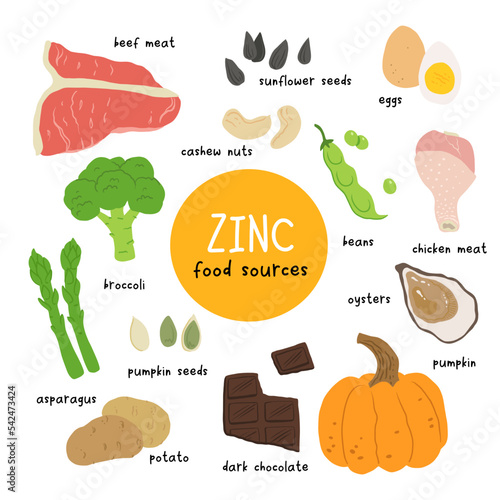 Zinc food sources vector stock illustration. Food products with a high content of zinc. Oysters, pumpkin seeds, sunflower seeds, eggs, asparagus, beef, chicken, cashew nuts. Information poster.