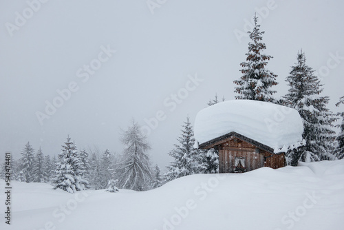 La grande nevicata © Thomas