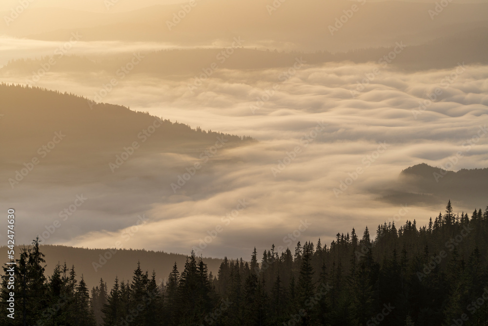 Beautiful landscape of morning foggy of the Carpathian mountains on a sunny day in summer. Western Ukraine, Europe