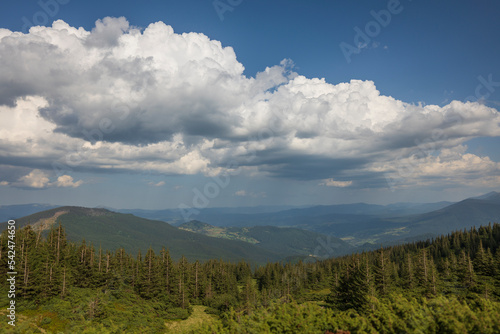 Beautiful hilly area on a sunny day in summer. Picturesque scene in the Carpathians mountains, Ukraine