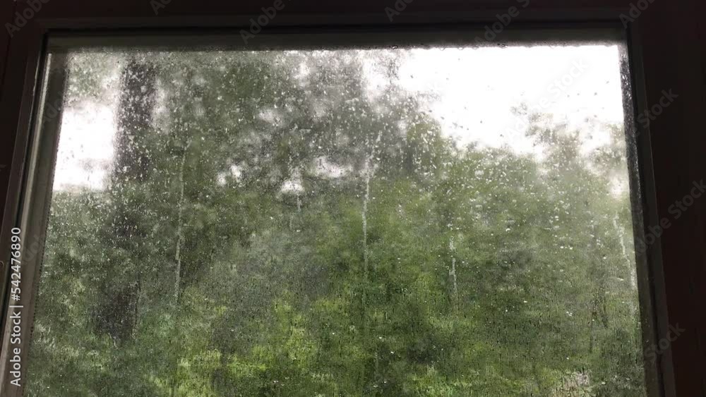 watching the tropical storm raging through the window in August watching the tropical storm raging through the window in August