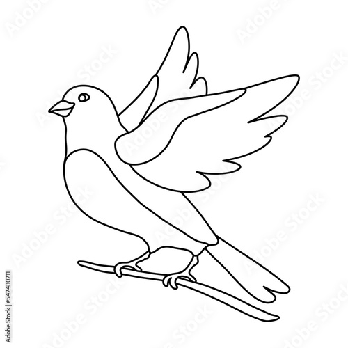 Illustration of cute bird sitting on branch. Image of birdie in simple style.