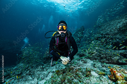 Wallpaper Mural diver exploring a coral reef in the South Andaman Sea / Thailand Torontodigital.ca