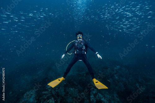 Wallpaper Mural diver exploring the ocean close to Chumphon in the gulf of Thailand Torontodigital.ca