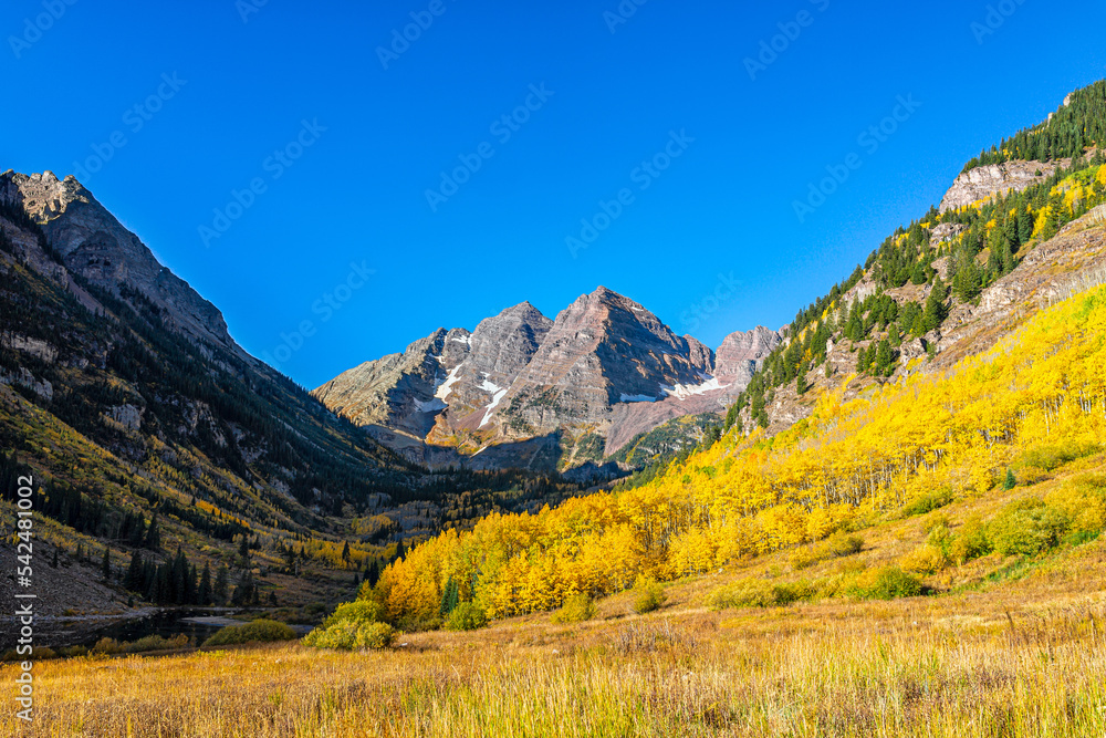 Aspen, Colorado Maroon Bells rocky mountains in October fall autumn season with yellow golden trees foliage and clear blue sky in morning sunrise with nobody