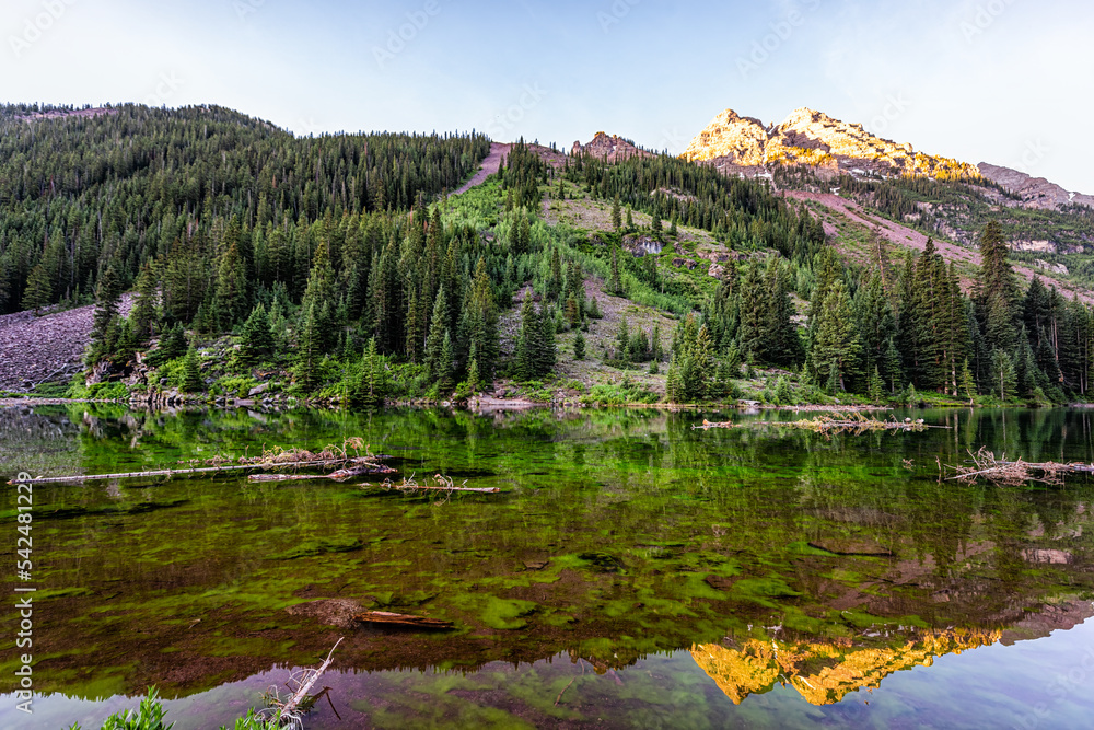 Maroon Bells lake sunrise in Aspen, Colorado with Rocky Mountain peak in July summer and reflection on pristine shallow water with algae and trees