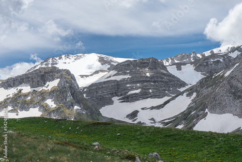 Mountain landscape on bright summer sunny day. Hills covered green grass on snowy rocky mountains background.