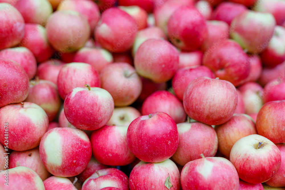 Full frame shot of red apples. Fresh red apples from the market. Full frame shot of red apples. Fresh red apples from the market.