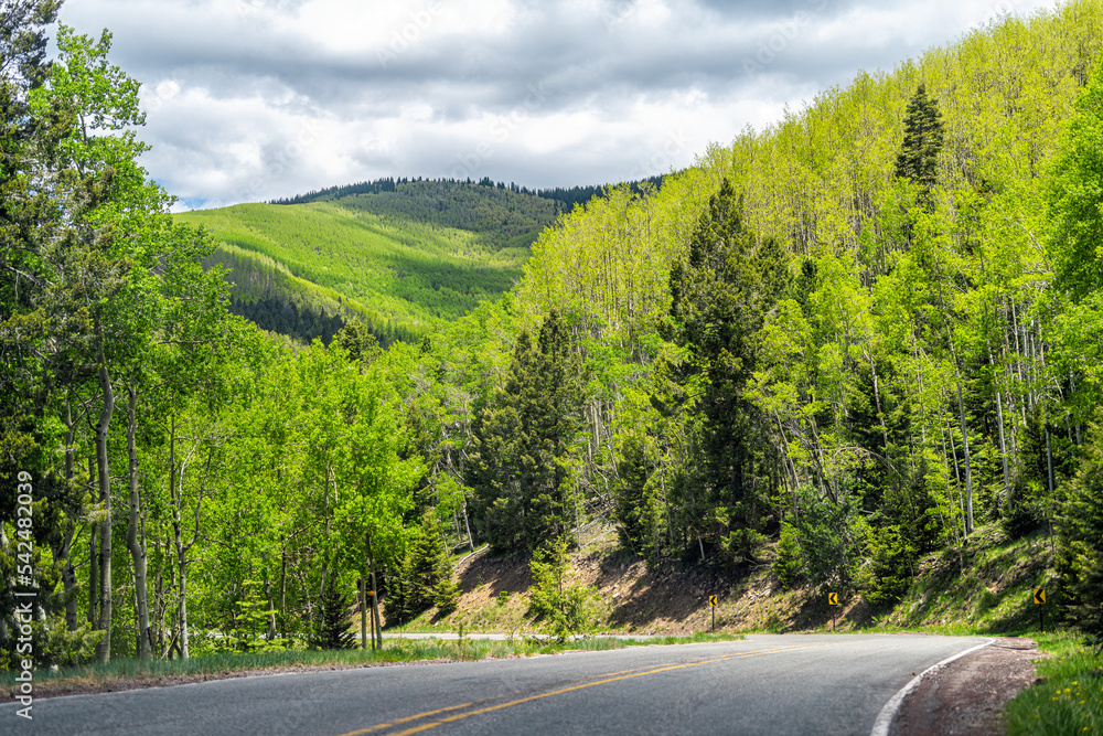 Obraz premium Santa Fe National Forest park in Sangre de Cristo mountains with green aspen foliage trees in spring or summer by winding road turn