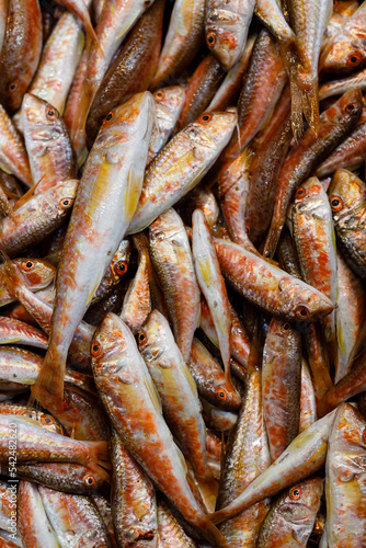Background texture of fresh healthy whole raw sardines or pilchards in close up in a full frame view