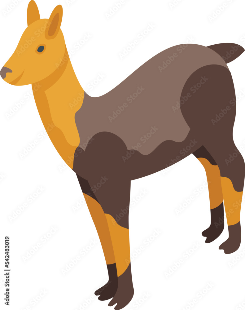Obraz premium Brown lama icon isometric vector. Cute animal. Funny baby