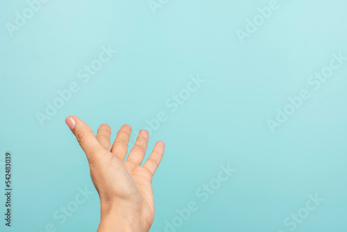 Woman hand open palm up gesture. Female hand taking, giving, showing something on light blue background. First person view