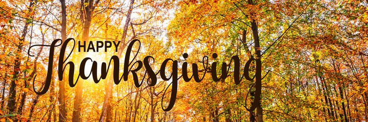 Happy Thanksgiving web banner, panorama of trees with sun in a forest in autumn