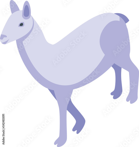 White animal icon isometric vector. Cute lama. Cool baby