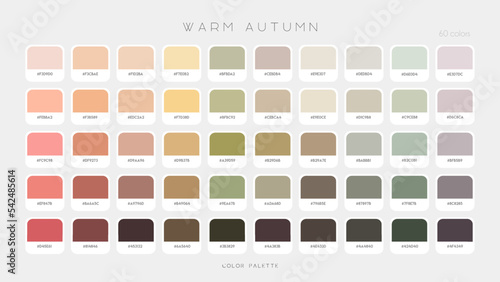 Warm Autumn Palette. Fashion Fall color trends. Color palette forecast of the future shades. Vector template illustration EPS10