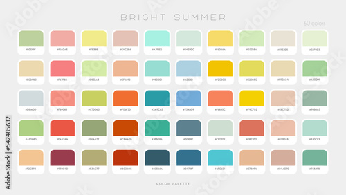 Bright Summer Palette. Fashion color trend vibes. Color palette forecast of the future shades. Vector template illustration EPS10