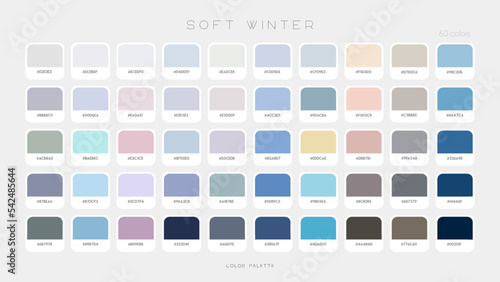 Soft Winter Palette. Fashion cold color trends. Color palette forecast of the future shades. Vector template illustration EPS10