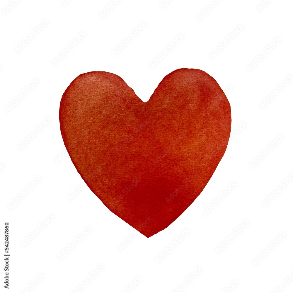 Heart red big a watercolor illustration isolated 