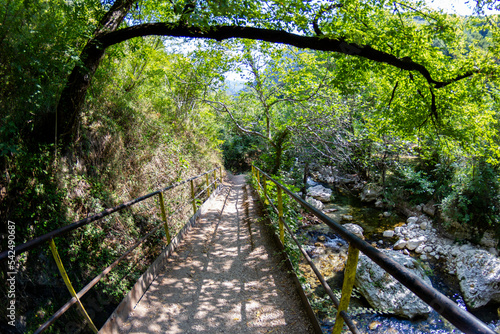 Tusciano river forest scenery in cilento