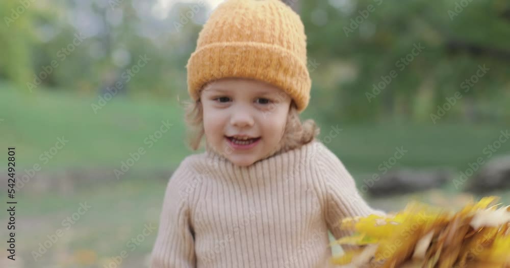 portrait of a cute girl 3 years old. The child holds a bouquet of yellow leaves, she rejoices and has fun portrait of a cute girl 3 years old. The child holds a bouquet of yellow leaves, she rejoices and has fun