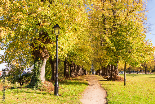 Lindenallee im Herbst mit bunten Blättern im Plöner Schloßgarten