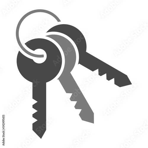 Key Set Greyscale Glyph Icon
