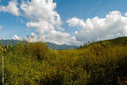 Sunny day in a rural space  bathed in natural light and green foliage with blue skies surrounded by clear mountains  a day to breathe organic oxygen.