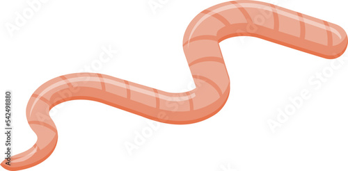 Gound worm icon isometric vector. Garden worm. Dirt soil photo
