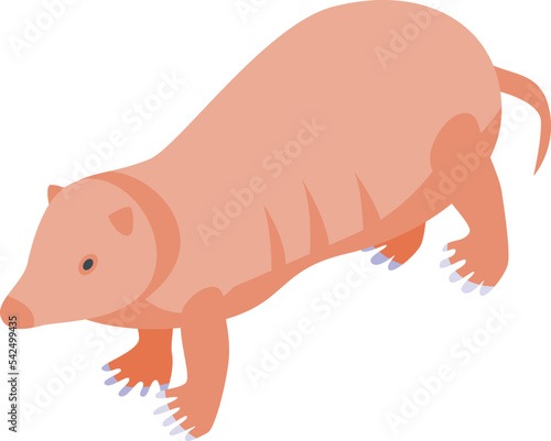 Mole hole icon isometric vector. Animal cute. Sleep funny