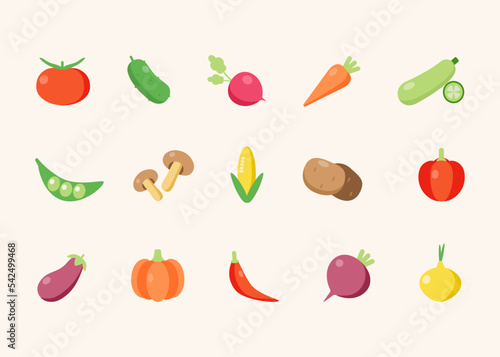 Vegetables icon set. Color vector illustrations in flat style. Tomato, cucumber, radish, carrot, pumpkin, onion and etc.
