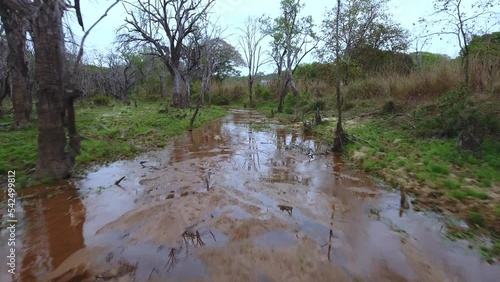 Ruvuma, Tanzania - September 26 2016: River in the jungle photo