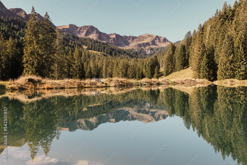 Fototapeta premium Scenic alpine landscape with lake, mountains and forest. Mirror reflection in a calm mountain lake. Kleinwalsertal, valley in the province of Vorarlberg and part of the Bregenz district, Austria.