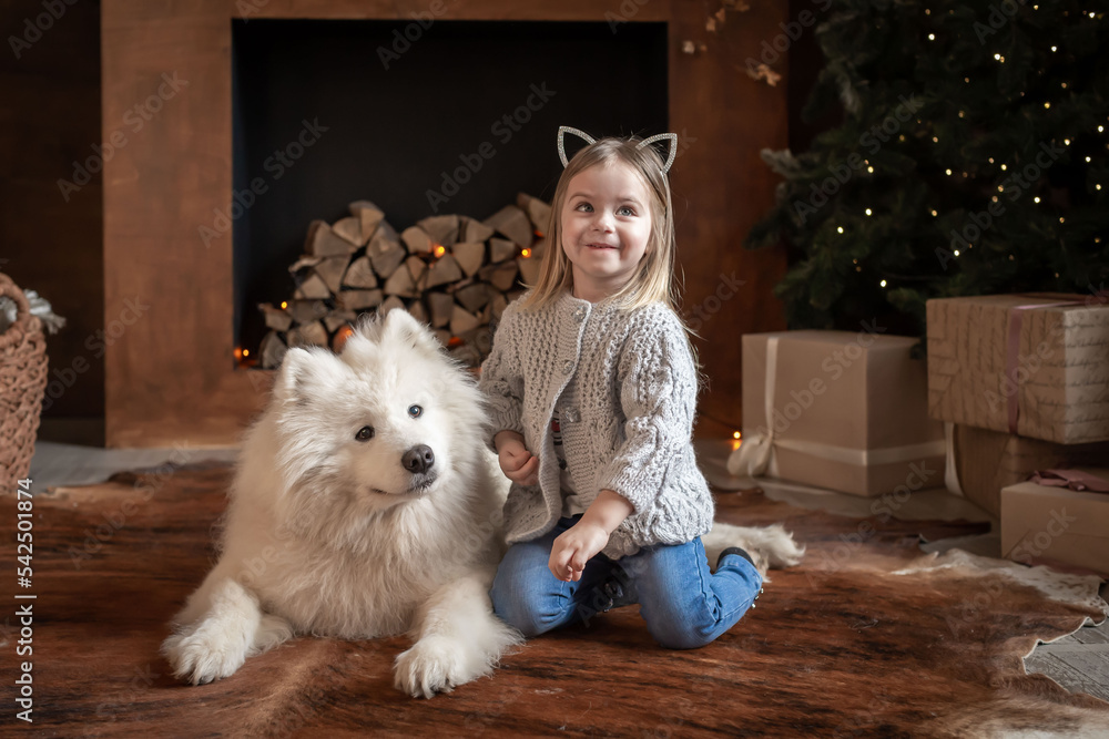 Girl and samoyed husky dog. Home, fun