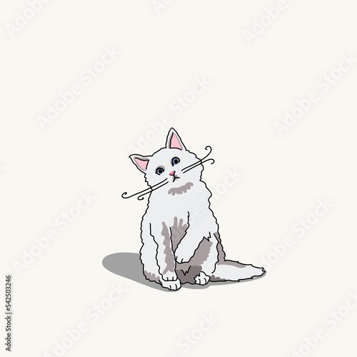 Cartoon inspired color pet portrait illustration hand drawn long hair white cat design with head tilt whiskers and shadow