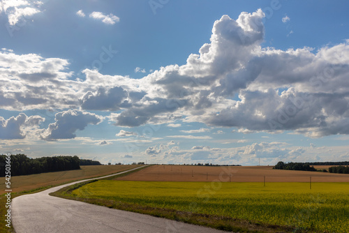 road in rapeseed fields and a cloudy sky
